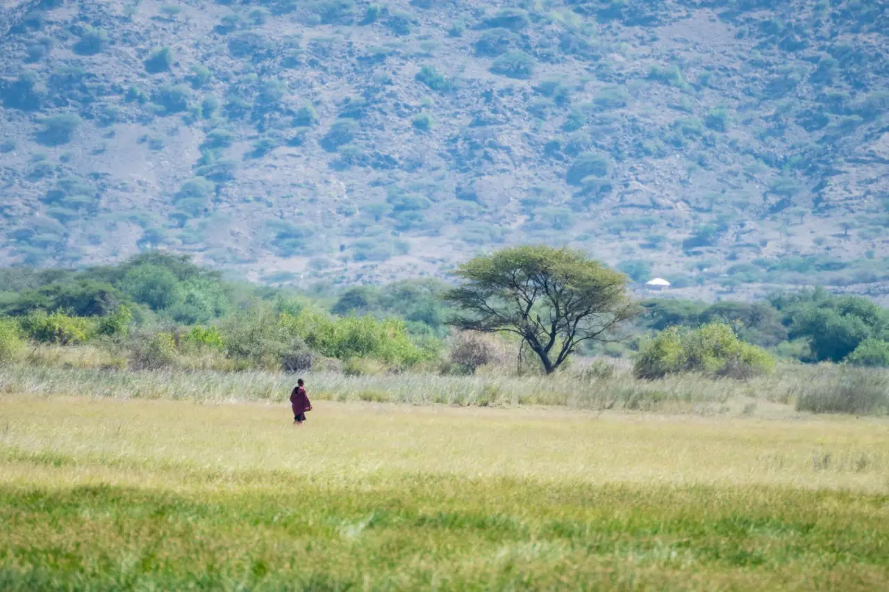 Conservation Through Tourism: Protecting Maasai Mara for Future Generations