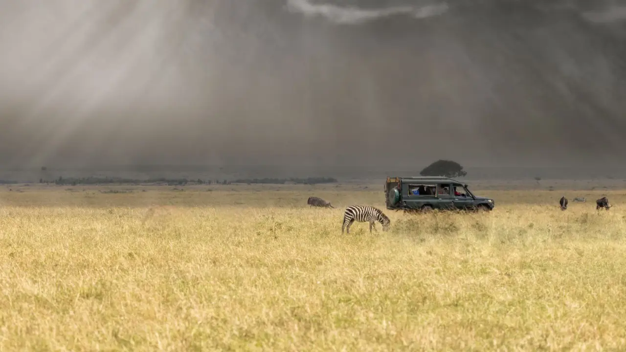 Ultimate Wildlife Safari Experience in Maasai Mara
